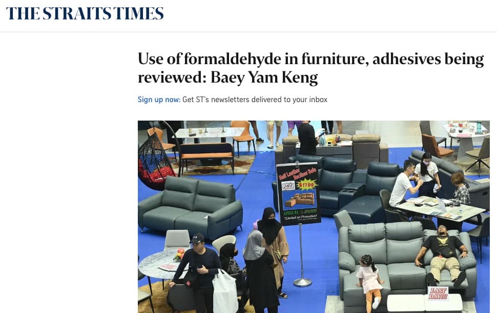 Screenshot of The Straits Times article "Use of formaldehyde in furniture, adhesives being reviewed: Baey Yam Keng"