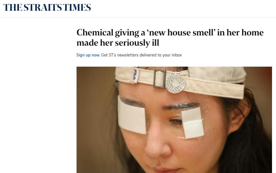 Screenshot of The Straits Times article "Chemical giving a ‘new house smell’ in her home made her seriously ill"